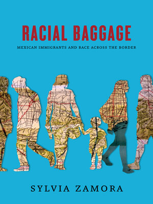 cover image of Racial Baggage
